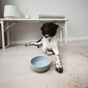 District 70 BAMBOO Dog Bowl - Small - Ice Blue
