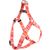 HARNAS STEP&GO SYB ORANJE/ROZE/WIT S 35-50CM 15MM