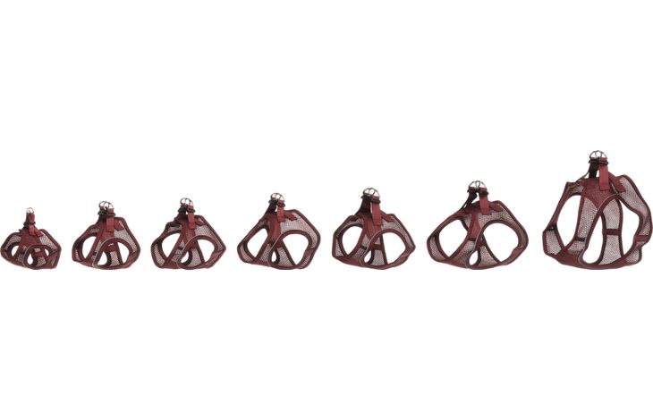 HARNAS STEP EN GO BENTO AUBERGINE XXS 24-25CM