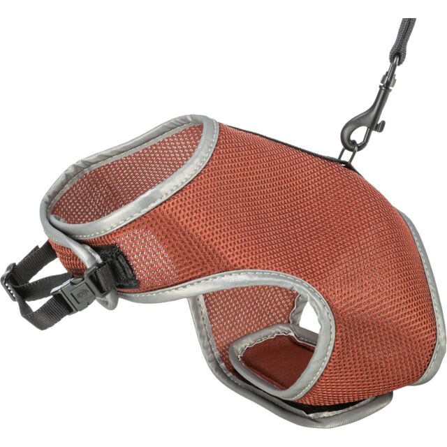 Softtuig, kat, met riem, 28–42 cm, 1,20 m, roest