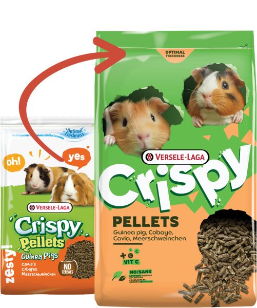 [461819] Pellets Cavia 2 kg