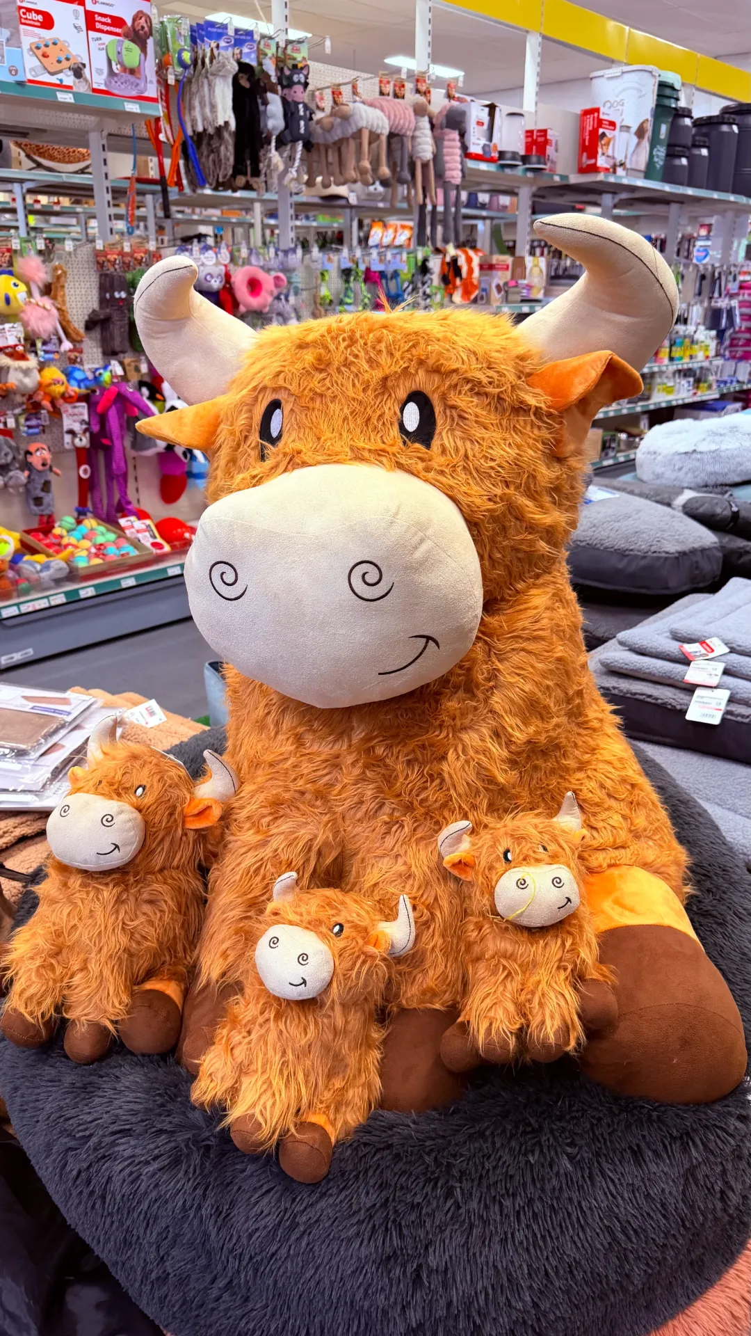 Knuffel Schotse Hooglander Bonnie S
