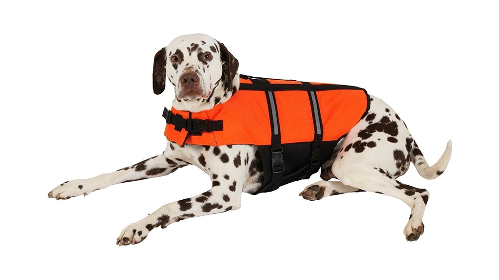 [503057] Honden Zwemvest XS 25 cm
