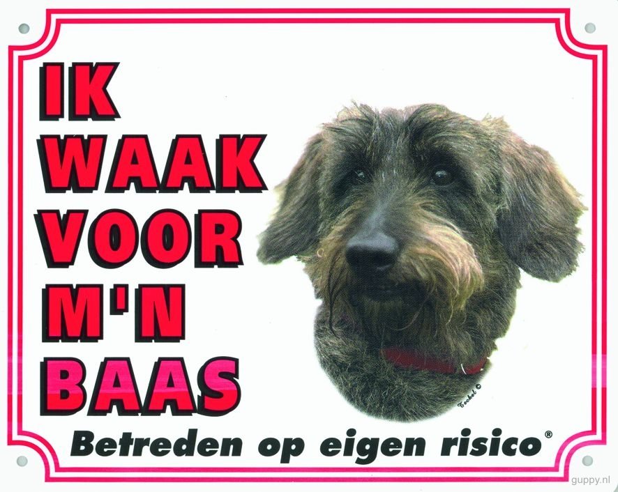 [980 3122            ] !! WAAKBORD GROOT/KLEUR TECKEL RUWHARI