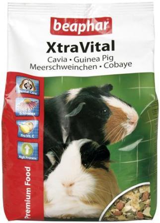 [2500] XV SP CAVIA 1KG