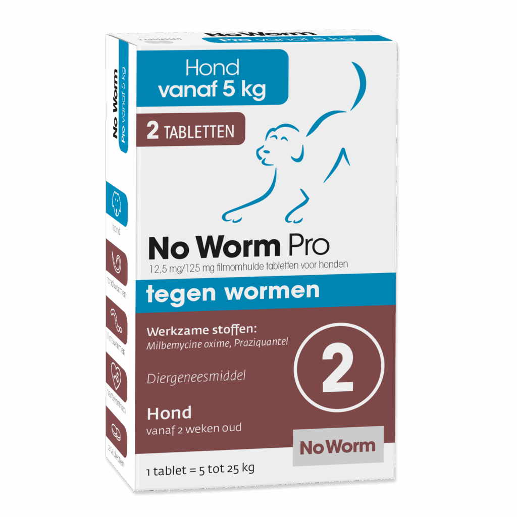 [E538                ] Exil No Worm Pro Hond vanaf 5 kg 2st