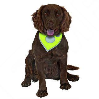 SAFETY DOG HALSDOEK 15MM, 16-24 CMN