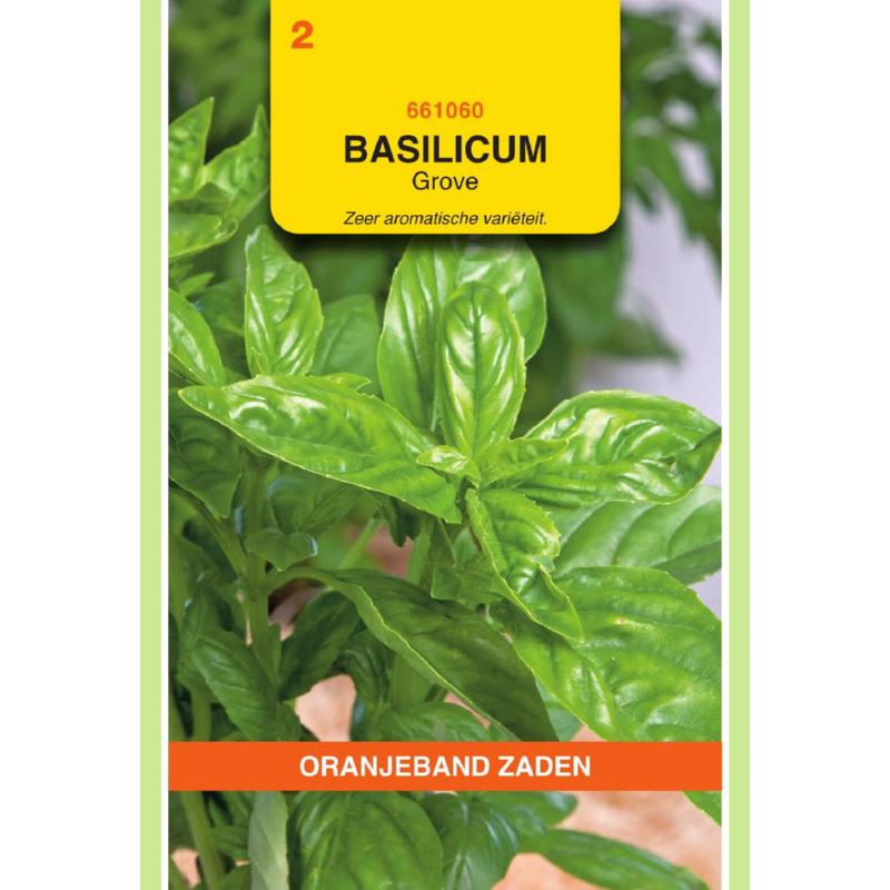 OBZ Basilicum Grove