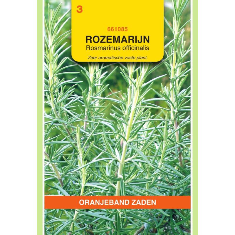 OBZ Rozemarijn