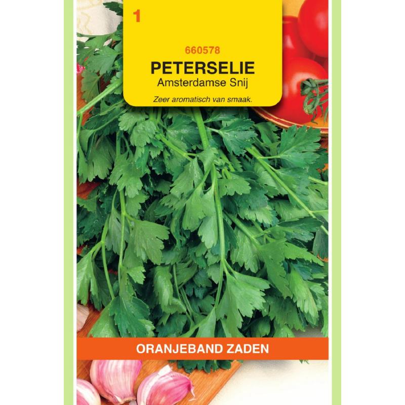 OBZ Peterselie Amsterdamse Snij