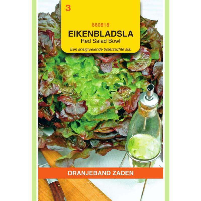 OBZ Red Salad Bowl - Rode Eikenbladsla