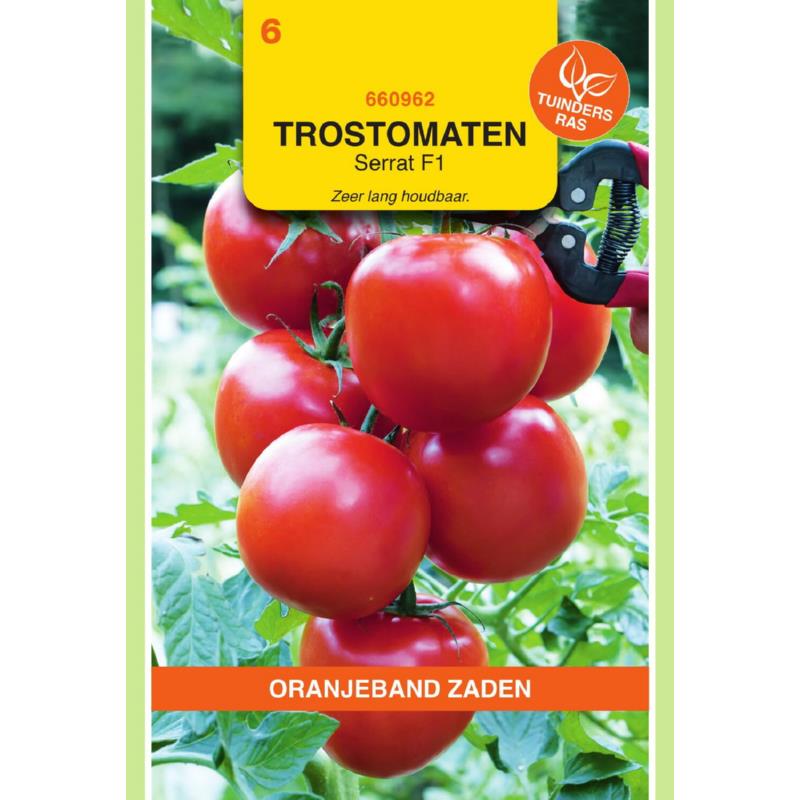 [BR_155629] OBZ Tomaten Serrat F1
