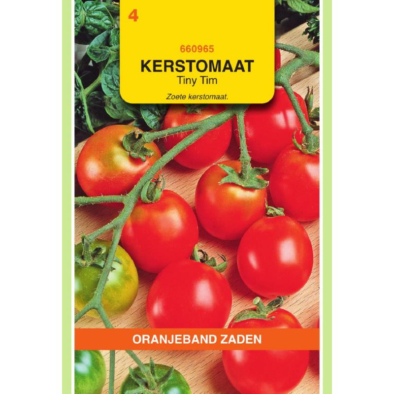 OBZ Tomaten Tiny Tim (Kers-/Balkontomaten)