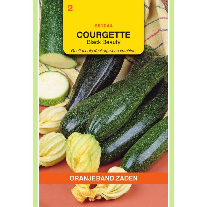 OBZ Courgette Black Beauty