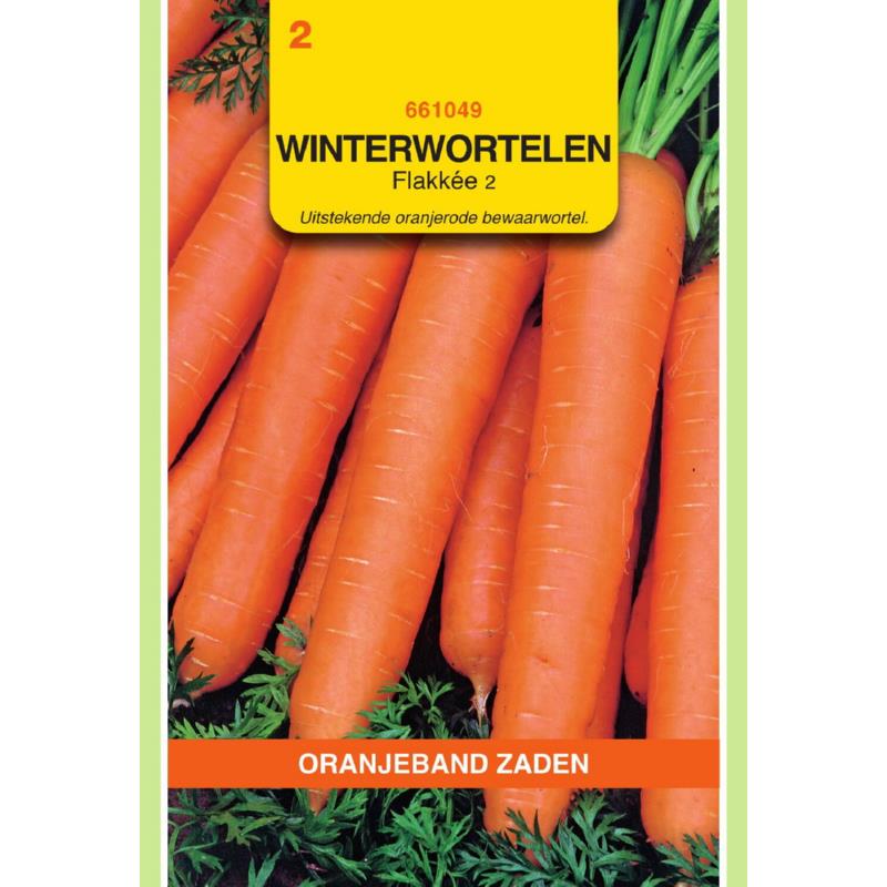 OBZ Winterwortelen Flakkée 2