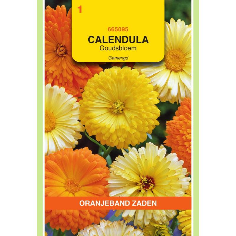 OBZ Calendula, Goudsbloem gemengd