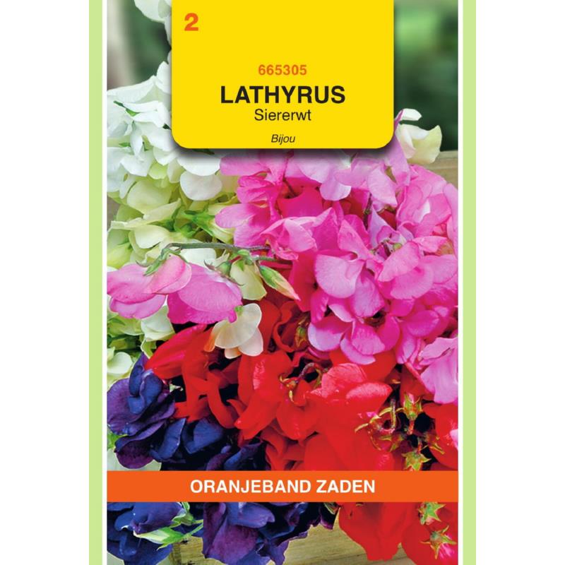 [BR_155670] OBZ Lathyrus, Reuk- of siererwt Bijou gemengd