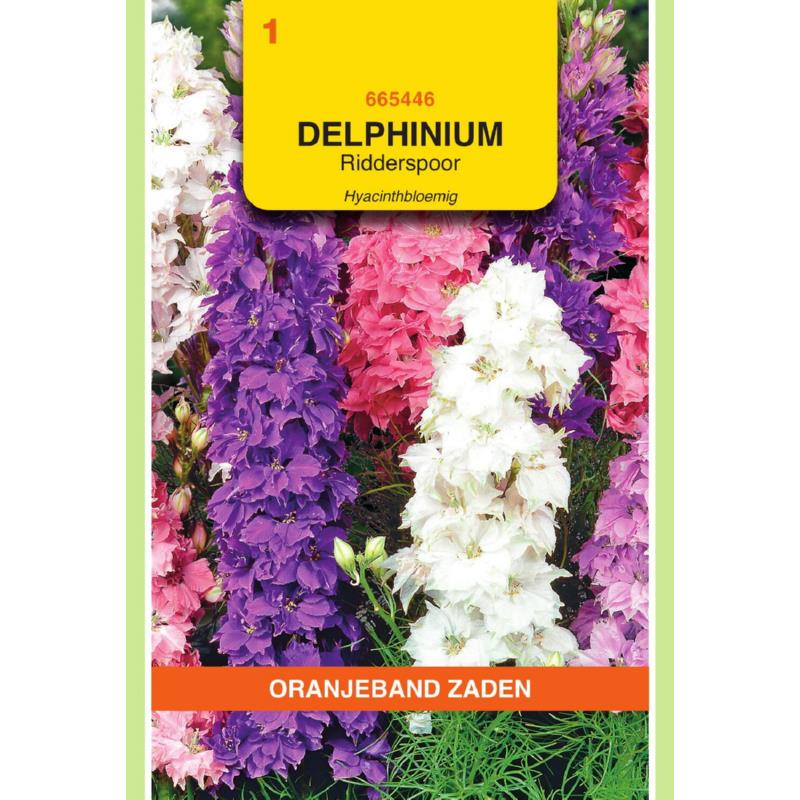OBZ Delphinium, Ridderspoor Hyacinthbloemig gemengd