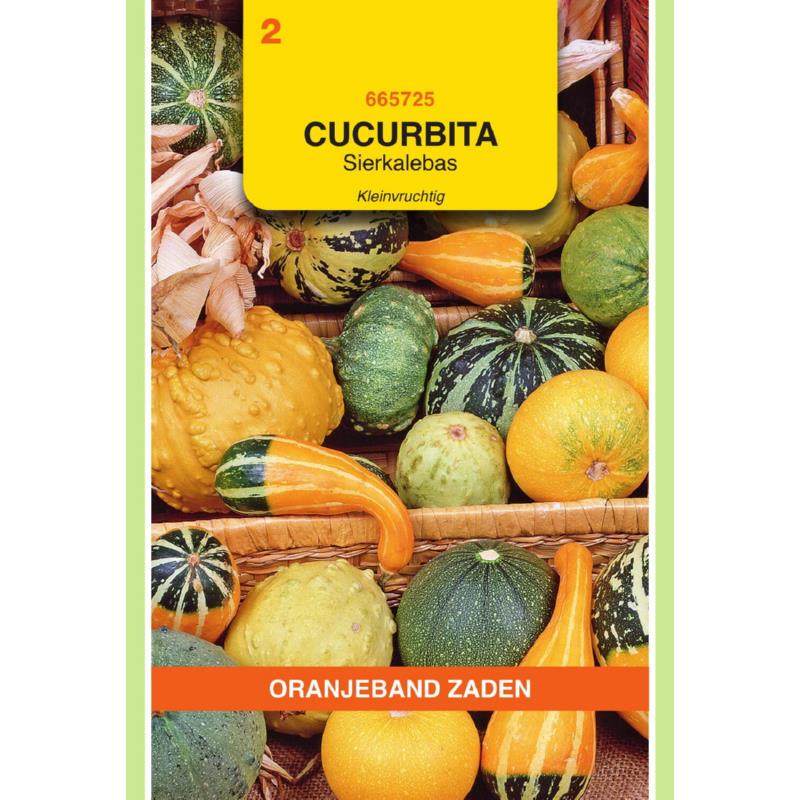 OBZ Cucurbita, Sierkalebas kleinvruchtig gemengd