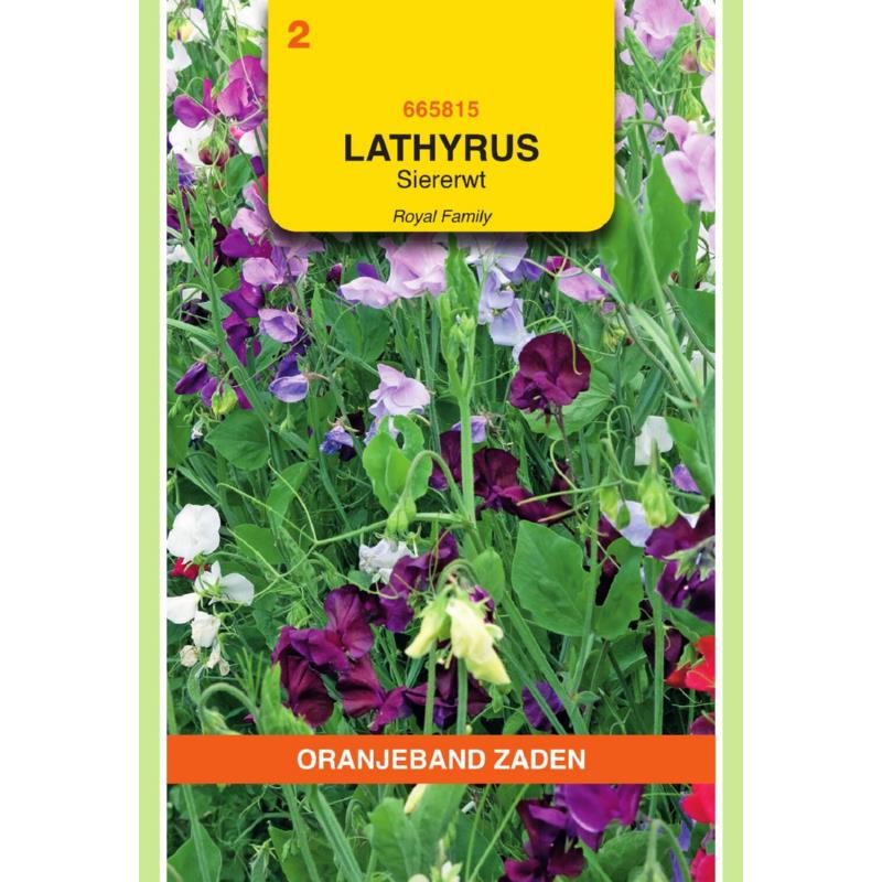 OBZ Lathyrus, Reuk- of siererwt Royal gemengd