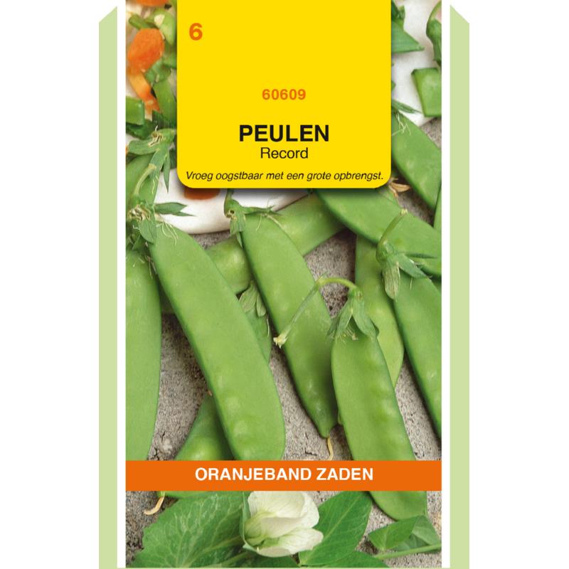 OBZ Peulen Record, 100g