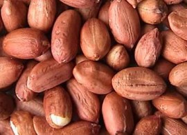 Gepelde pinda 25 kg