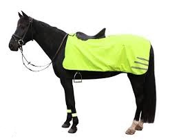Uitrijdeken Reflecterend Pony