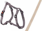 ArtSportPlus Tuig 25mm 65-100cm beige