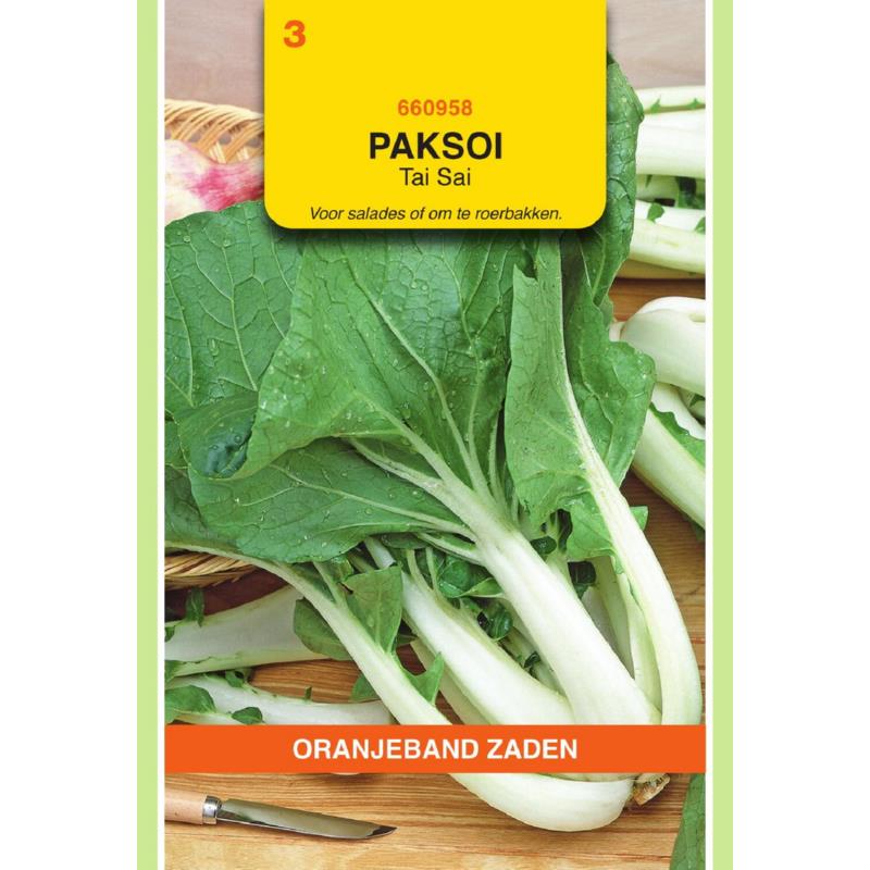 OBZ Paksoi Tai Sai