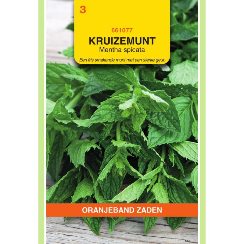 OBZ Kruizemunt