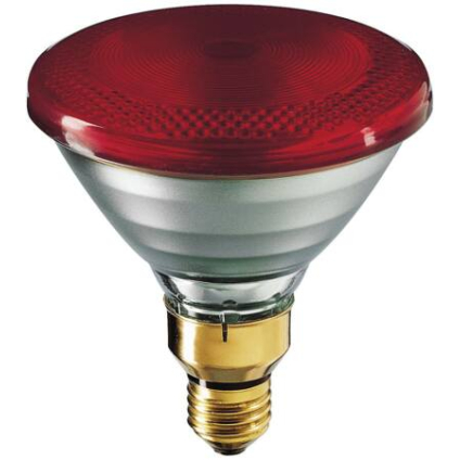 WARMTELAMP 175 watt rood spaar