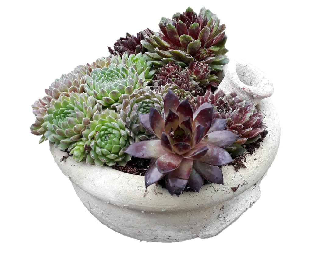 Aardewerk pot middel