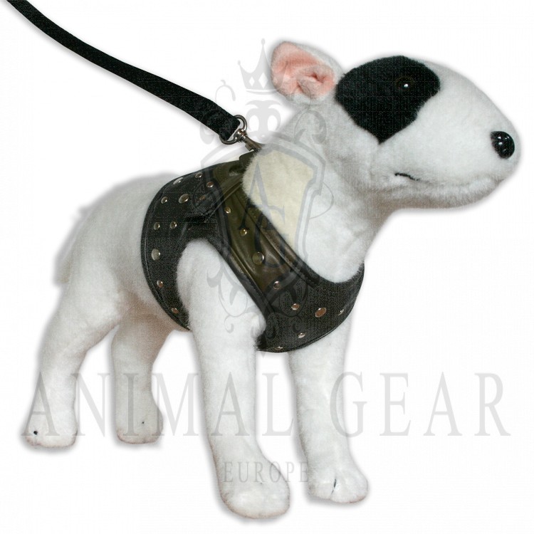 Comfy Harness full metal jacket S