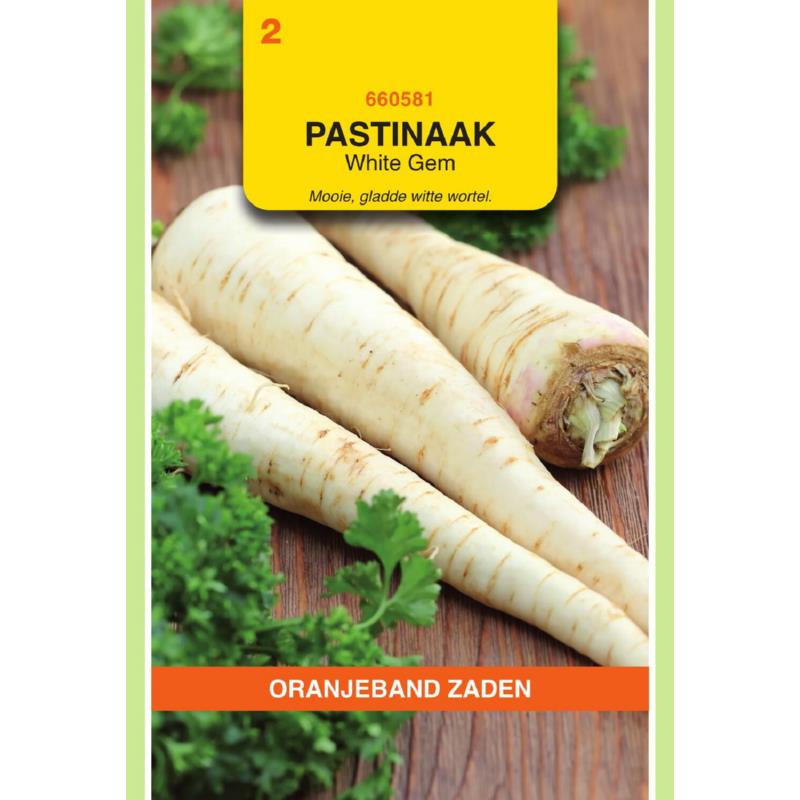 OBZ Pastinaak White Gem