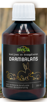 Invicta darmbalans 100ml