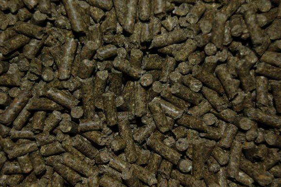 [10266] Cavia Korrel - Super vit - 20 KG - anti stress