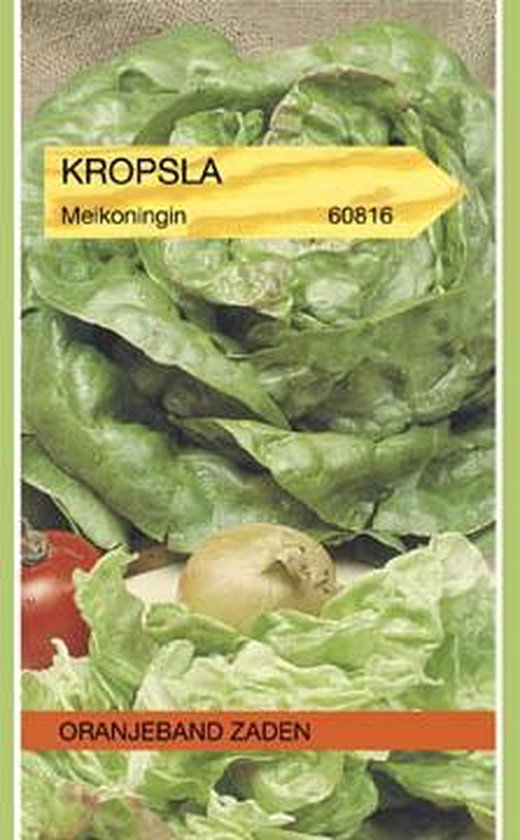 OBZ Kropsla Meikoningin