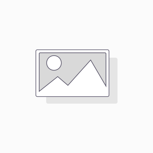 [400070  word 2,99 3stuks] MASTER SCHUURBLOK   GROF